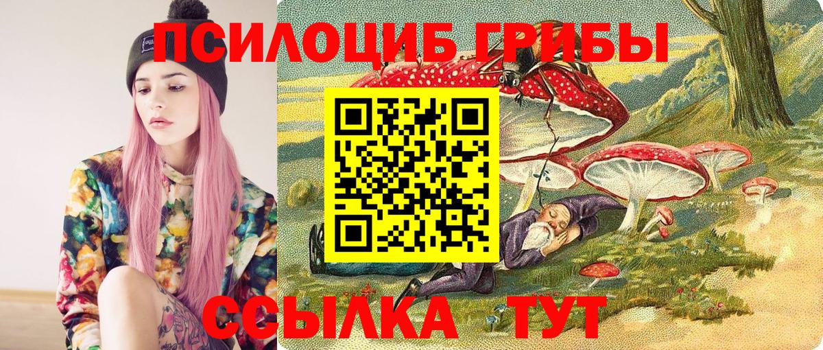 Галлюциногенные грибы Psilocybine cubensis  Вход с VPN  Строитель 