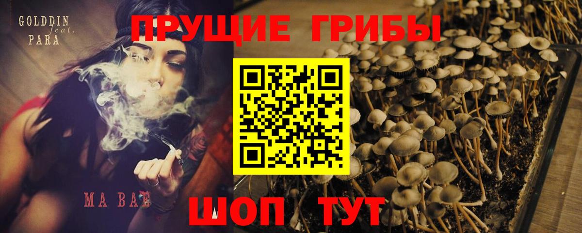 Галлюциногенные грибы прущие грибы Строитель